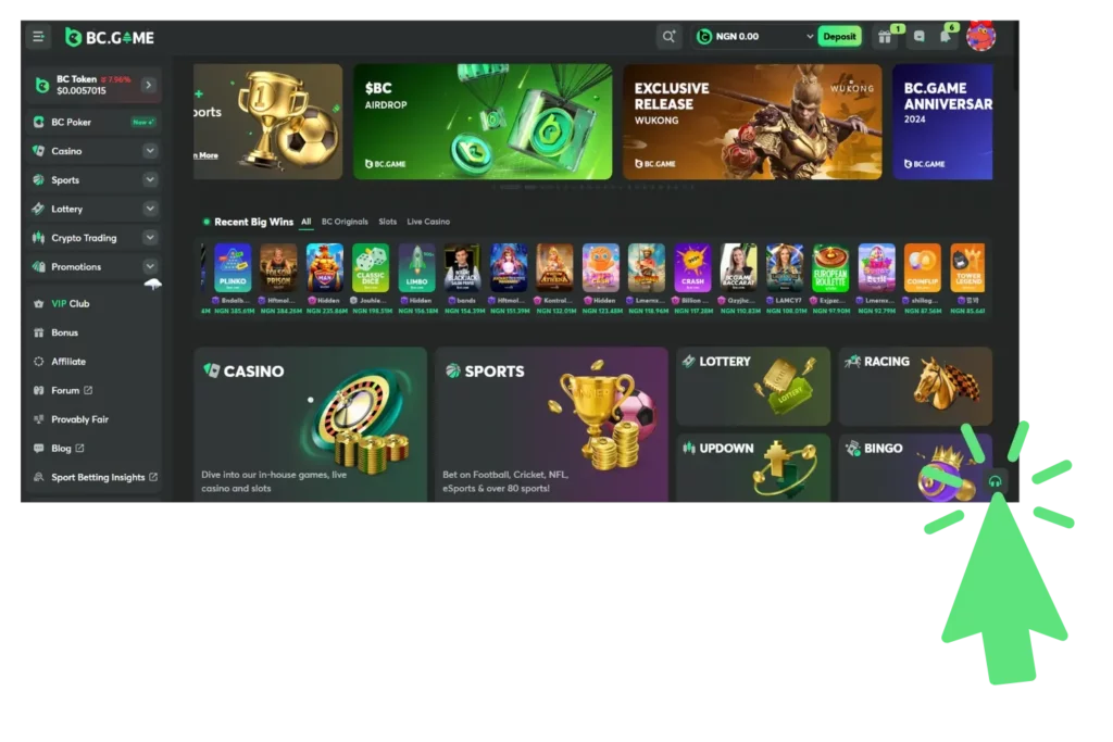 Contacting BC.Game Support for Login Assistance in Pakistan